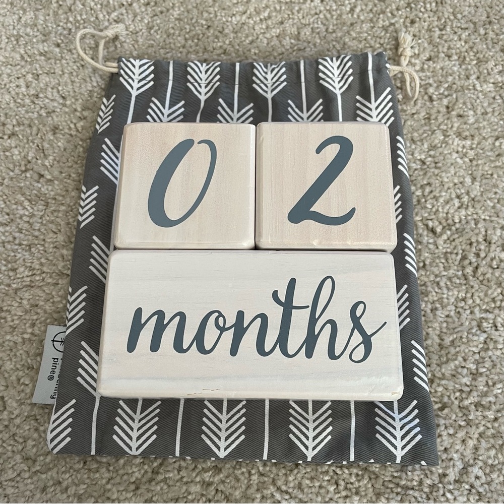 Baby Milestone Blocks - Picture 3 of 6